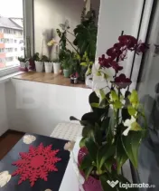 ???? Apartament 2 camere decomandat – Noua | Vedere superb 