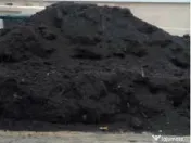 Pamant vegetal de padure negru, pamant pentru grădină, pamant flori Bucuresti. 