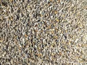 Pamant vegetal de padure negru, pamant pentru grădină, pamant flori Bucuresti. 