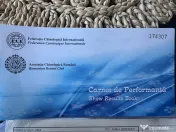 Femela Cane Corso, Pedigree FCI 