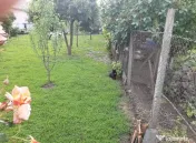 Casa ( P+M ) Zona Burdujeni 