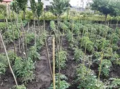 Casa ( P+M ) Zona Burdujeni 