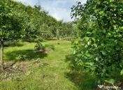 Casa ( P+M ) Zona Burdujeni 