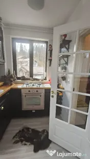 Apartament cu o camera tip studio ,et 2 