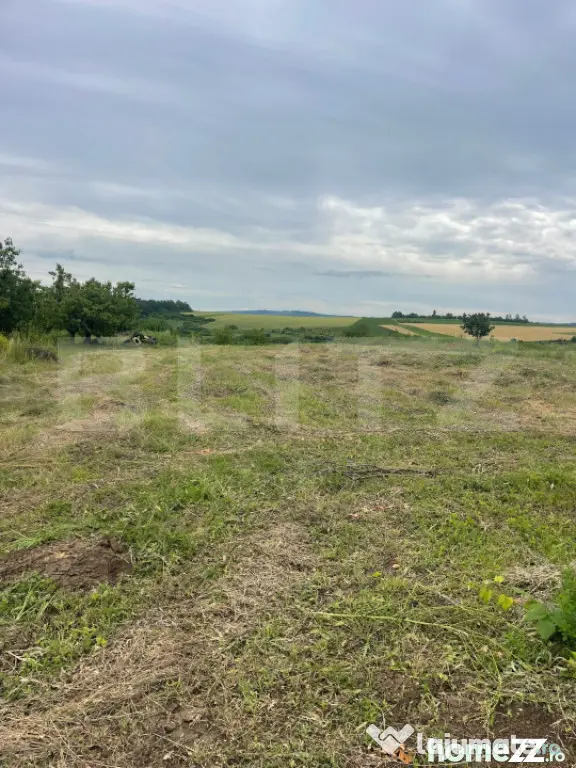 Teren 500 mp intravilan Valea Ursului