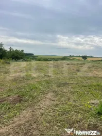 Teren 500 mp intravilan Valea Ursului