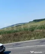 Teren in Acatari la E60 - 1,73 hectare