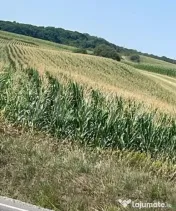 Teren in Acatari la E60 - 1,73 hectare 