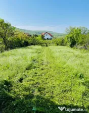 Casa cu 2 camere, 141 mp, 690 mp teren, Petrestii de Mijloc 