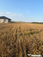 Teren 2250 mp , la intrarea in Filiasi