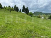 Teren în Vama, județul Suceava, Bucovina, intravilan + ext 