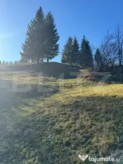 Teren în Vama, județul Suceava, Bucovina, intravilan + ext 