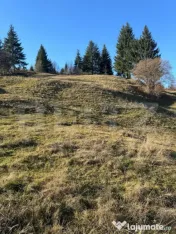Teren în Vama, județul Suceava, Bucovina, intravilan + ext 