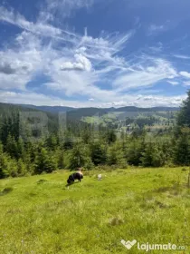 Teren partial intravilan ,9700 mp Oportunitate ,Belis