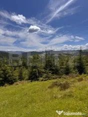 Teren partial intravilan ,9700 mp Oportunitate ,Belis 