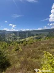 Teren partial intravilan ,9700 mp Oportunitate ,Belis 