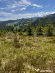 Teren partial intravilan ,9700 mp Oportunitate ,Belis 