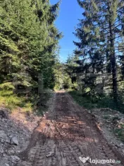 Teren partial intravilan ,9700 mp Oportunitate ,Belis 