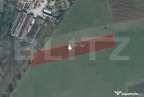 Teren de 5000 mp, Stupini
