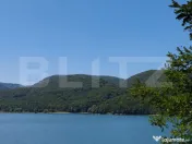 Teren extravilan împădurit, 20.720 mp – zona Lacului Cin 