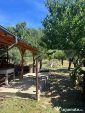 ???? Casă spațioasă 250 mp + teren generos 1650 mp în zo 