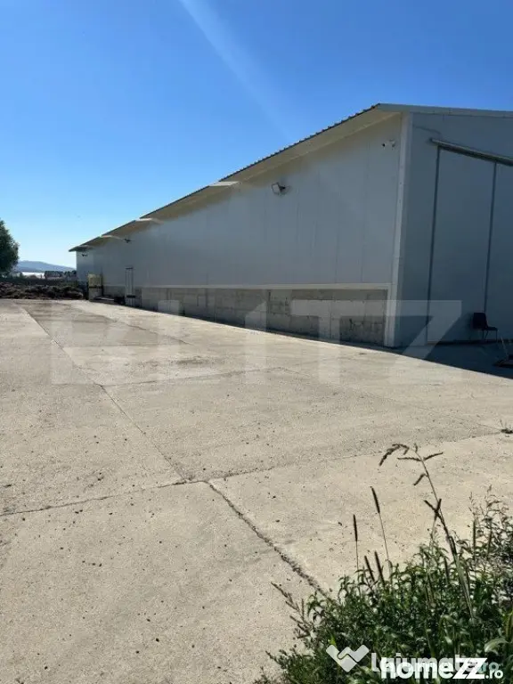 Hala cu teren , intravilan , 4700mp, Marginea - Radauti