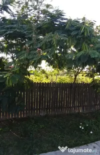 Teren intravilan comuna Unirea 