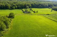 Teren extravilan 600mp Tocile de Jos 