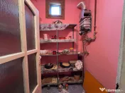 Casa in Lugoj pe Str. Fagetului 