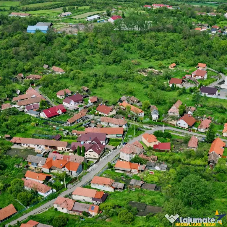 Casa eleganta, curte amenajata, garaj, Brancovenesti, Mures