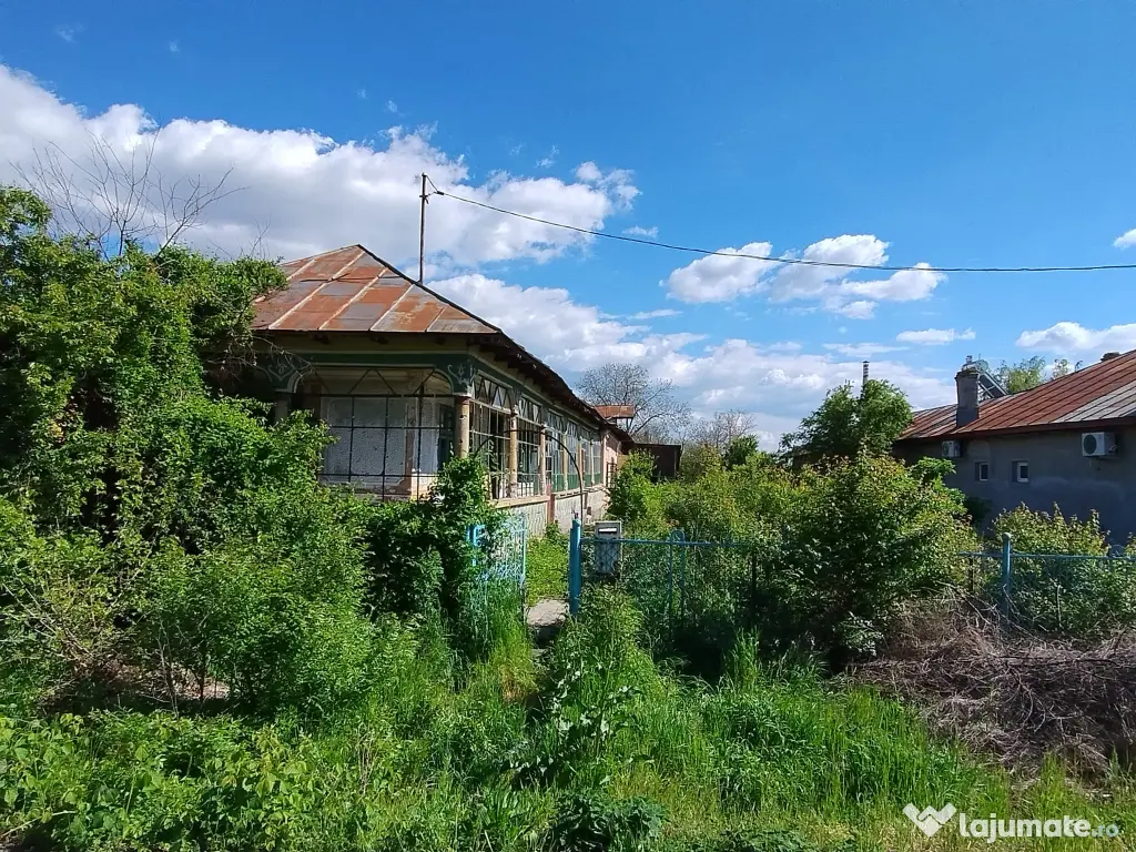 Particular casa teren 2300 mp Tantava Giurgiu