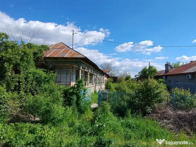 Particular casa teren 2300 mp Tantava Giurgiu