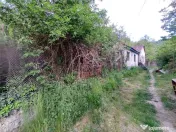 Sasca Montana | Oportunitate | Casa cu 230 MP Teren 