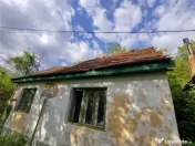 Sasca Montana | Oportunitate | Casa cu 230 MP Teren 