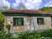Sasca Montana | Oportunitate | Casa cu 230 MP Teren 
