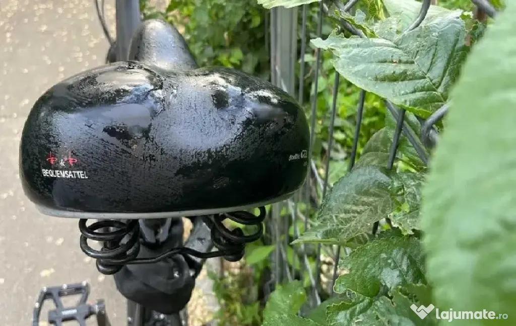 Sa bicicleta P&P Wolke 7 chiar si pentru cei care au avut operatii