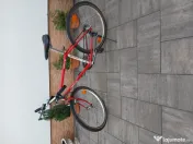 Bicicleta Longus 