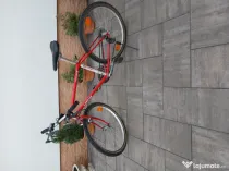 Bicicleta Longus