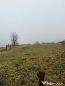 Teren de vânzare Marisel jud Cluj