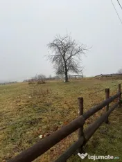Teren de vânzare Marisel jud Cluj 