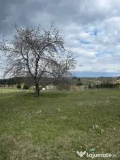 Teren de vânzare Marisel jud Cluj 