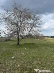 Teren de vânzare Marisel jud Cluj 