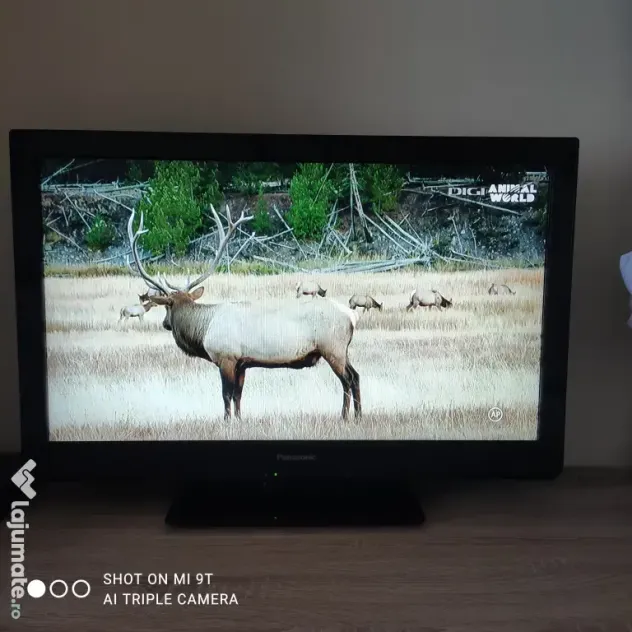 Televizor LCD PANASONIC VIERA TX-L32C3E