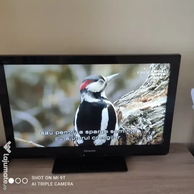 Televizor LCD PANASONIC VIERA TX-L32C3E