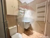 Apartament 2 camere de inchiriat str. Doamna Stanca 