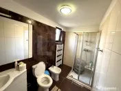Vila deosebita langa padure in Plopu Nisipoasa. 