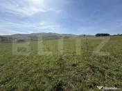 Teren extravilan în suprafață de 5300 mp - Livada 