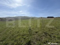 Teren extravilan în suprafață de 5300 mp - Livada