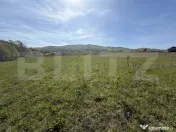 Teren extravilan în suprafață de 5300 mp - Livada 