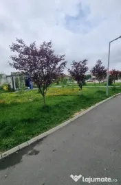Garsoniera - Popesti Leordeni - Str Drumul Fermei 